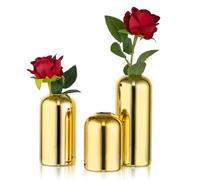 NUPTIO Vaso Vetro Oro Piccoli: Set di 3 Vasi Fiori Centrotavola Tavolo Matrimonio Ingrosso Vaso Dorato per Decorazioni Festa di Compleanno