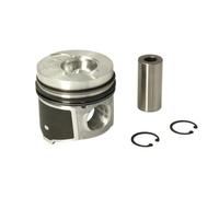 Pistone motore 87-101500-00 NÜRAL per RENAULT OPEL NISSAN VOLVO
