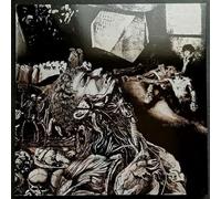 nurse with wound-merzbild schwet lp viny