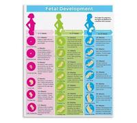 Nursery Wall Art Fetal Development Chart Baby Growth Stages Educational Poster for Expecting Mothers Living Room(Framed,16x24inch(40x60cm))