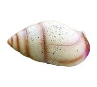 NURUGURE Conchiglie di Mare, Conchiglie, Conchiglie Grandi, Conchiglie di Mare, Grandi Conchiglie Decorative per Feste a Tema Spiaggia, Matrimoni, casa D