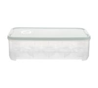 NUSITOU Portauova con Coperchio Rosa in Plastica da Frigorifero Contenitore per 10 Uova, Comodo e Adatto per Conservare Alimenti Freezer e Frigorifero