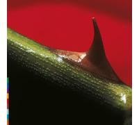 Nusrat Fateh Ali Kha - Night Song