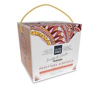 Nutrifree panettone albicocca 450 g