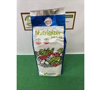 Nutrigizer 60+2E Concime NPK minerale con aggiunta di microelementi chelatiKg2,5