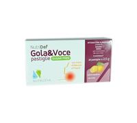 Nutrileya NUTRIDEF GOLA & VOCE SUGAR FREE ARANCIA 20 PASTIGLIE