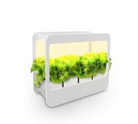 Nutriluce Mini Serra da Interno con Luci LED e Timer Automatico, Ideale Coltivazione Indoor di Piante Aromatiche e Piccoli Ortaggi, Serra Orto Intelligente, Idea Regalo Green (Miniserra+Vasi e Semi)