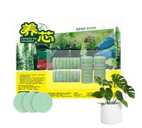 Nutrimento Vegetale A Lenta Cessione | Concime Nutriente Per Fiori In 32 Compresse A Lunga Durata,Nutrimento Per Piante Da Appartamento | Per Rose, Gardenie, Piante Grasse, Pothos E Il Giardinaggio