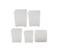 Nutrire le tue piante con vasi da vivaio trasparenti dotati di sistema di drenag