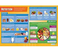 Nutrizione. Poster sullo sviluppo infantile. Carta lucida da 850 x 594 mm (A1). Poster per la i assistenza all’infanzia. Tabelle educative di Daydream Education