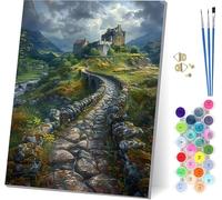 Nuvola Dipingere con i Numeri Adulti con Telaio, Dipingere con i Numeri Architettura, Fai da te Paint by Numbers Kits con 3 Pennelli e Pigmento Acrilico, pour Decorazioni Casa Regalo 40x50cm T-5471