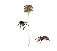 Nuytghr Jumping Spider Decor, Magnetic Mushroom Shelf, Spider Enclosure Accessory, Terrarium Decoration with Climbing Feature, Habitat Equipment for Geckos Lizards Hermit Crabs Home Breeding