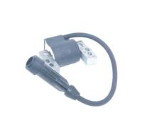 NVDERTA Compatibile con il modulo bobina di accensione 590818 13H132 13H152 13H162 13H332 13H352 13H362 13L152 Magneto motore