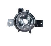 NVETJMUA Faro Fendinebbia per BMW per X6 E71 E72 2008 2009-2013 Fendinebbia per Auto 63177187629 63177187630 Fendinebbia Paraurti Anteriore Senza Lampadina Auto Fendinebbia Anteriore(Only Left)