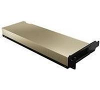 NVIDIA - Nvidia L4 - Gpu Computing Processor - L4 - 24 Gb Gddr6 - Pcie 4.0 X16 Low Profile - Fanless - SPEDIZIONE GRATUITA