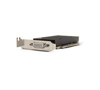 NVIDIA NVIDIA Quadro NVS 300 512 MB GDDR3, SCHEDA GRAFICA, 512 MB