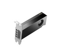 NVIDIA RTX 2000 Ada 16 GB 4mDP Graphics