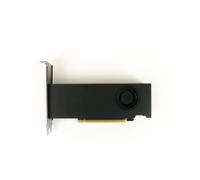 NVIDIA RTX A2000 - Scheda grafica - RTX A2000 - 6 GB GDDR6 - PCIe 4.0 x16 - 4 x Mini DisplayPort