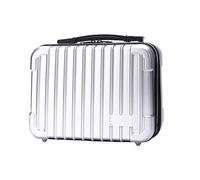 NVOQILIN Piccola borsa da viaggio per custodia da trasporto organizer multifunzione con scomparti doganali borsa da viaggio custodia impermeabile, Grigio argento