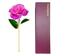 NVOQILIN Rose secche in oro placcato 24 K con scatola e supporto