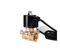 NVSFZGIYG 1/2 "IP68 Impermeabile Normalmente Chiuso/Aperto in Ottone Fontana DN15 Elettrovalvola 110V 24V 12V 24v for Subacquea(VIT-SEAL-110VAC-OPEN)