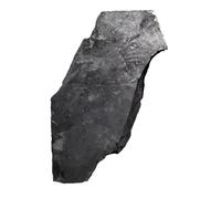 NWPNLXEA 1pc 100-200g Crystal Crafts Schungite Gemstone Rock Unpolish Rough Raw Shungite Stone for Decoration