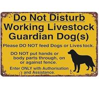 NWPNLXEA Rustic Warning Plaque Do Not Disturb Working Dogs on Distressed Aluminum Sign for Farm Bar 8 X 12