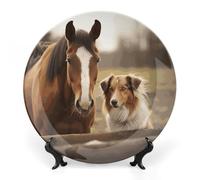NWTRJ Collie Dog and Horse Together Piatti decorativi in ceramica da 15,2 cm, piatti decorativi in porcellana Bone China con espositore fatto a mano, ornamento in ceramica per casa, cucina, camera da