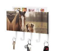 NWTRJ Collie Dog and Horse Together - Portachiavi da parete, con 5 ganci, decorativo, per ingresso, porta d'ingresso, corridoio, ufficio