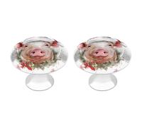 NWTRJ Confezione da 2 pomelli rotondi per cassetti e cassettiere, in stile moderno, per casa, ufficio, cucina