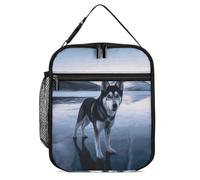 NWTRJ Husky Dog on a Frozen Lake Lunch Box Borsa per il pranzo riutilizzabile, a prova di perdite, isolata, termica, borsa termica per donne e uomini, lavoro, ufficio, picnic