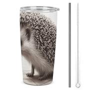 NWTRJ Tazza a forma di riccio da 20 once, in acciaio inox, isolata con coperchio e cannuccia, tazza da caffè da viaggio per caffè e tè