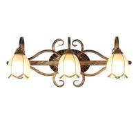 NXNONEPD Bath Mirror Lamps Farmhouse Bathroom Wall Lights Vintage Bath Vanity Light Over Mirror Oil Rubbed Bronze Tulips Glass Shade Wall Sconce for Mirror Bedroom, Living Room(2 Light)