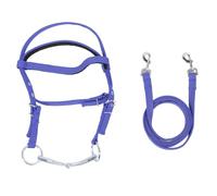 Nylon Horse Bridle Rein | Adjustable Headstall for Control & Comfort | Equestrian Training Aid for Riding/Training/Competition | Stylish & Sturdy Design (61 Keys(102 X 15 X 44 cm / 40,2 X 5,9 X