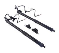 NYSQOFMB Ammortizzatori Cofano Posteriore 2 Pezzi Ammortizzatori A Gas Portellone Posteriore Elettrico per Toyota per RAV4 Dohc Limited Xle 13-16 Pbd004 6892009011 6892009080 6891009110