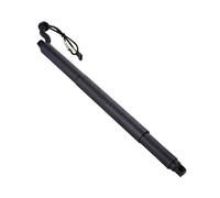 NYSQOFMB Ammortizzatori Cofano Posteriore 51247318651 51247318652 Ammortizzatori Elettrici Portellone Posteriore per BMW X6 F16 2015-2019 Supporto Sollevamento E Apertura Elettrico(L)
