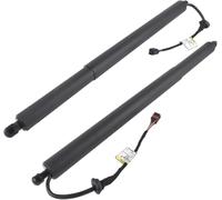 NYSQOFMB Ammortizzatori Cofano Posteriore 81841-S1100 81831-S1100 per Hyundai per Santa Fe F19 2019-2021 Supporto Sollevamento E Apertura Portellone Elettrico Ammortizzatore