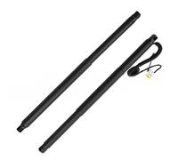 NYSQOFMB Ammortizzatori Cofano Posteriore 84306929 84183515 per Suburban 2015-2020 V8 5.3l/6.2l Sport Utility Supporto per Portellone Posteriore Elettrico Barre Portamozzi A Gas(Pairs)