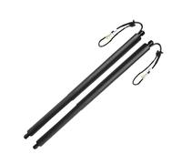 NYSQOFMB Ammortizzatori Cofano Posteriore 90560-5nn0a per Qx50 2019 2020 Sinistro/Destro 905605nn0a Supporto Elettrico Portellone Posteriore Sollevamento
