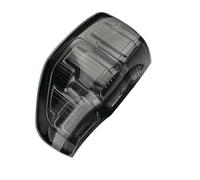 NYSQOFMB Fari Posteriori Lente Fanale posteriore per WildTrak XLT XL XLS gruppo lampada freno posteriore per auto con filo e lampadina Fanale Posteriore Auto(Only 1 Black Left)