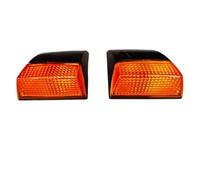NYSQOFMB Indicatori Specchio Lateral Luce di Direzione A LED per Camion 24 V, Luce di Direzione Aggiuntiva per Camion per Volvo FM12 FH12 20409874 20409875(1pair with LED)