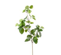 NYSUZHOUJI Foglie di Jackfruit Artificiali, Alta Simulazione, Bellezza realistica, ingegneria, piantagione, Progettazione del Paesaggio, Materiale, Colla Morbida, Tessuto Lucido, Verde