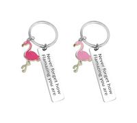 NyxSeat Portachiavi Fenicottero Con Confezione Regalo - Acciaio Inox, Incoraggiante, Ciondolo Multicolore, Taglia Unica