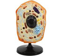 NZPOST Modello di cellula vegetale 3D Modello di Anatomia Biologica delle Piante Modello anatomico Realistico Modello didattico Cellulare