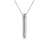 NZVCQVPU Collana urna del ricordo per ceneri umane, collane di cremazione per uomo cilindro cilindro in acciaio inossidabile con zirconia