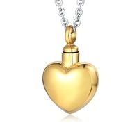 NZVCQVPU Collane del ricordo per cenere in acciaio inossidabile, collana di medaglioni per cenere per donne ciondoli cardiaci