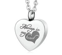 NZVCQVPU Cremation Necklace Dog, Stainless Steel Heart Shape with Alwalys in My Heart Pet Keepsake Memorial