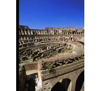 O direito constitucional e os novos desafios: Direito constitucional