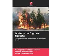 O efeito do fogo na floresta: Os colêmbolos como bioindicadores da degradação do solo
