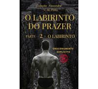 O LABIRINTO DO PRAZER- PARTE 2: O LABIRINTO